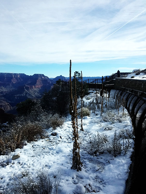 Grand Canyon: The Grandeur