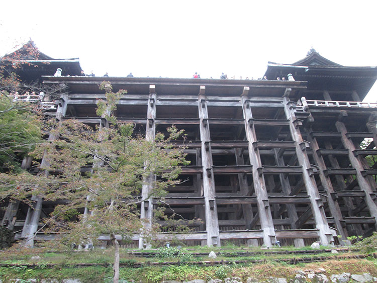 Japan Trip