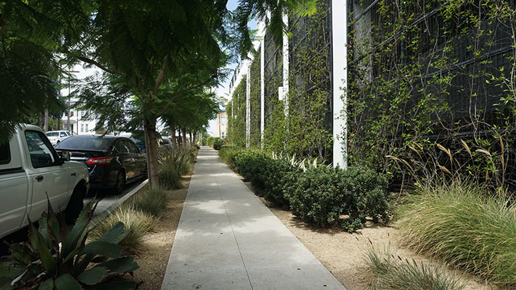 San Diego Summer