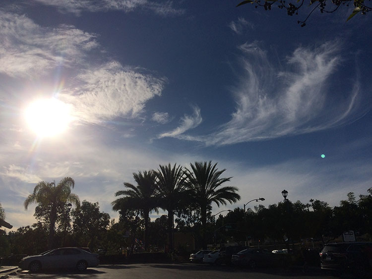 Epics of the Sky
