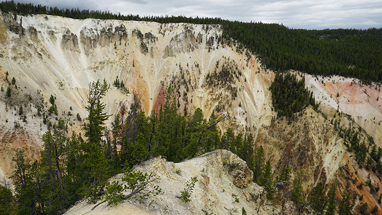 Yellowstone