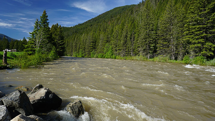 Yellowstone